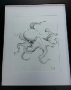 Octypus